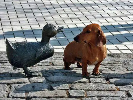 1354811716~Statue-Duck--Dog.jpg