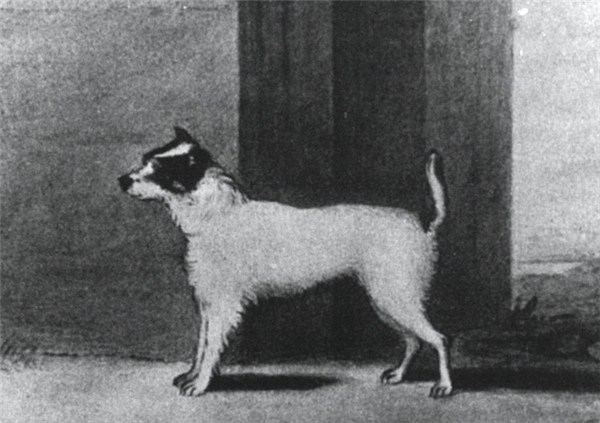 1355374471~Atlas-Terrier-back-to-1910.jpg