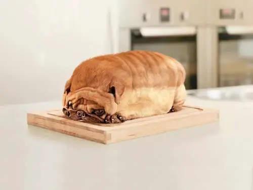 1355432169~Loaf-of-Bread.jpg