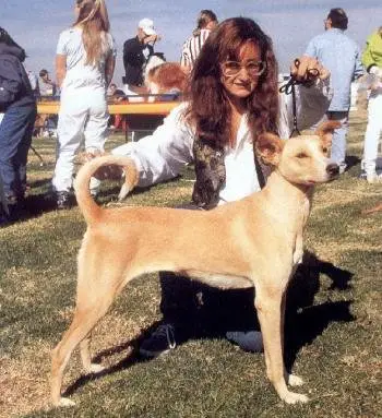 1356192178~A-Cretan-Hound-dog-with-his-owner.jpg