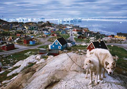 1357640725~Greenland-Dog-is-just-infront.jpg