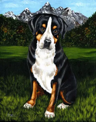 1357747514~Greater-Swiss-Mountain-Dog-is-just-front.jpg