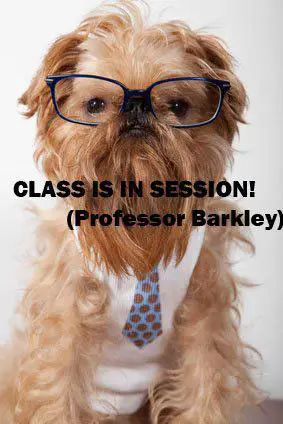 1359324952~Professor-Barkley.jpg